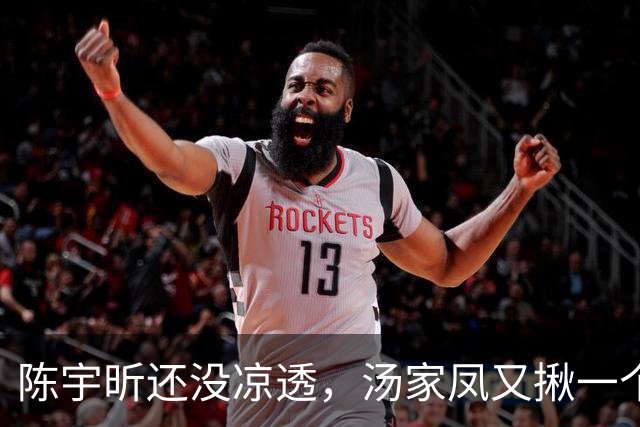 陈宇昕还没凉透，汤家凤又揪一个“精日”人员：竟然还是公司老板